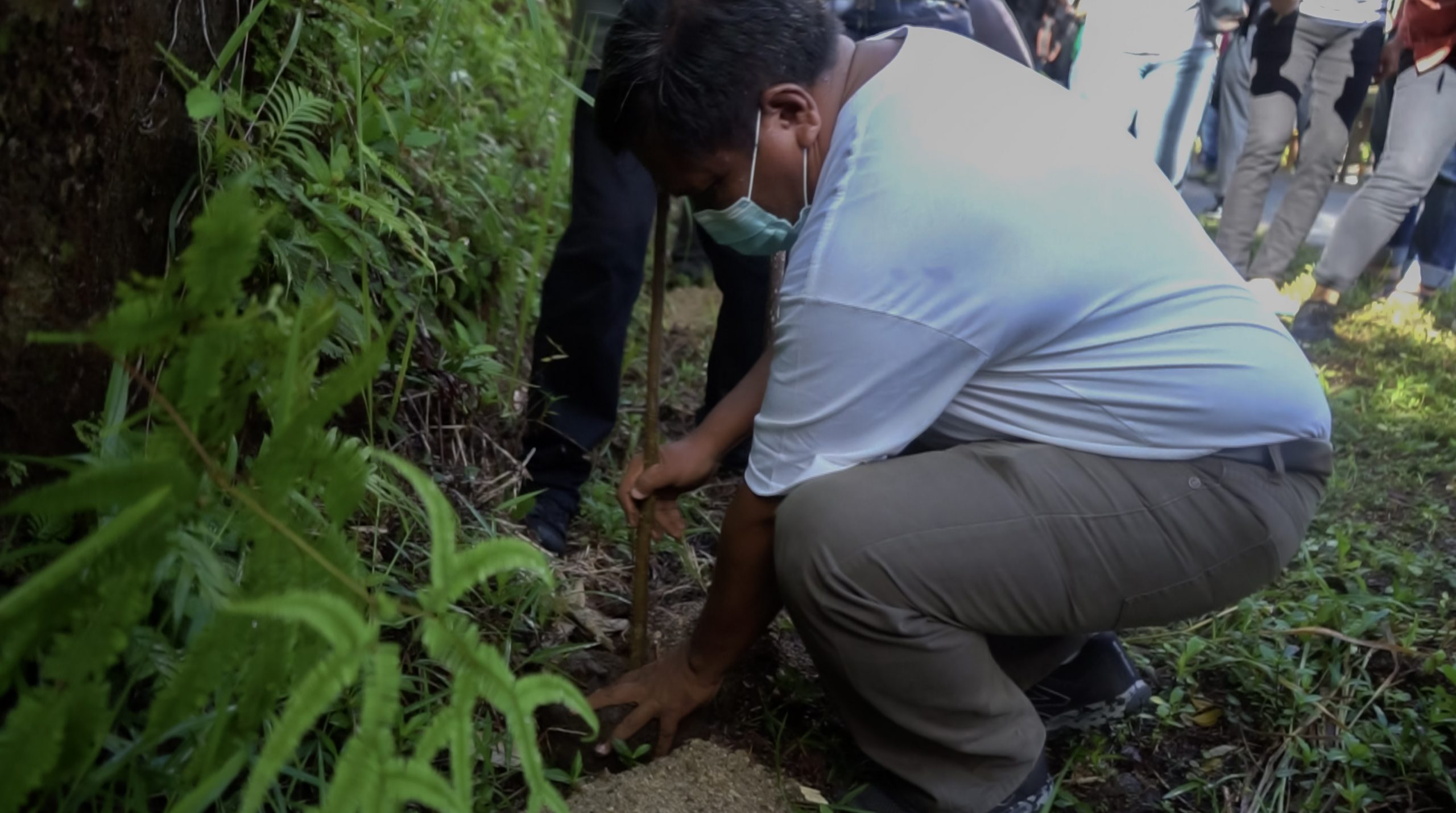 Aksi Menanam Pohon : GPM Kalesang Bumi Ciptaan Tuhan Demi Keberlangsungan Hidup