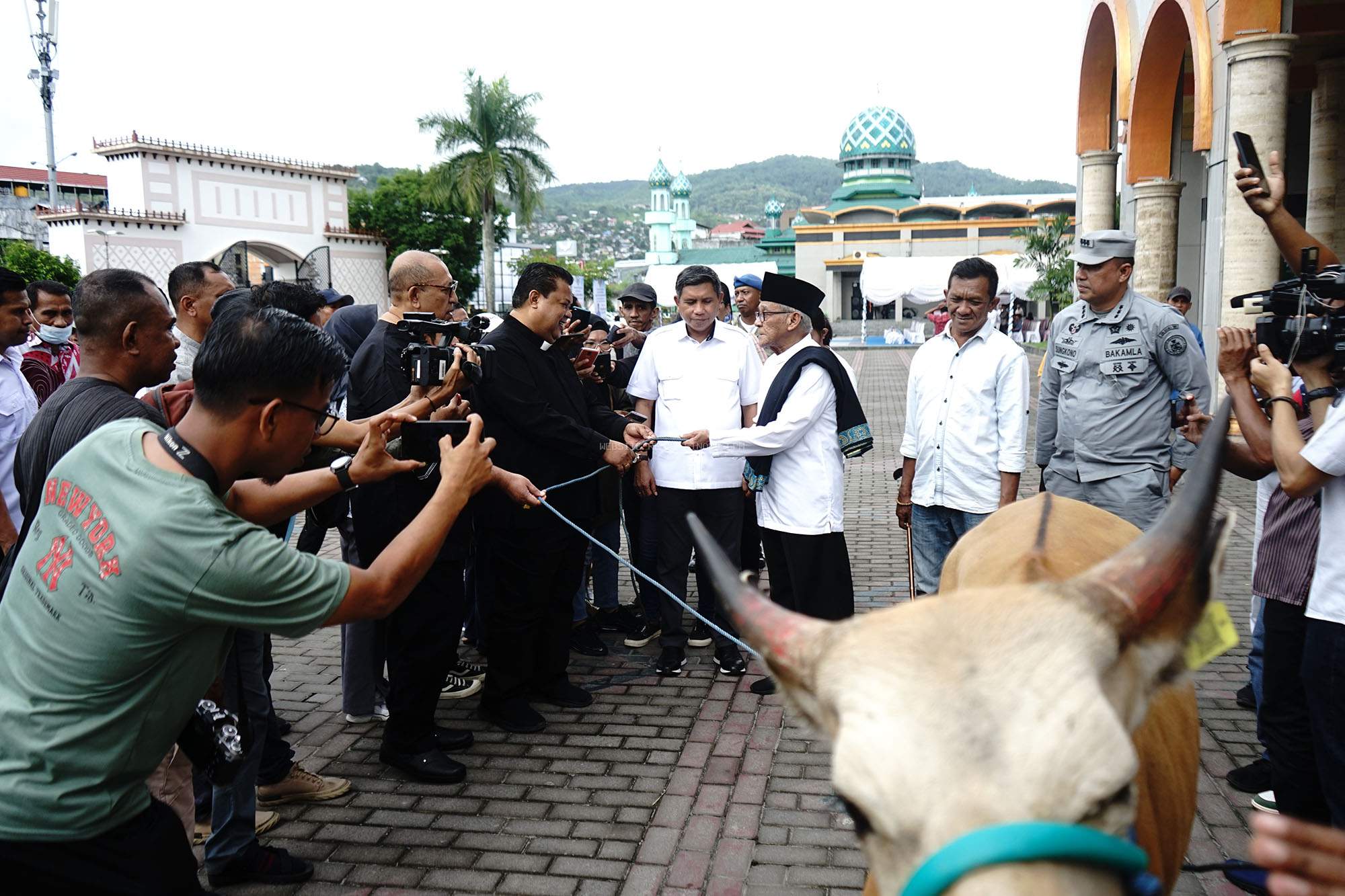 Sinode GPM Serahkan Hewan Kurban Ke Pengurus Masjid Al Fatah