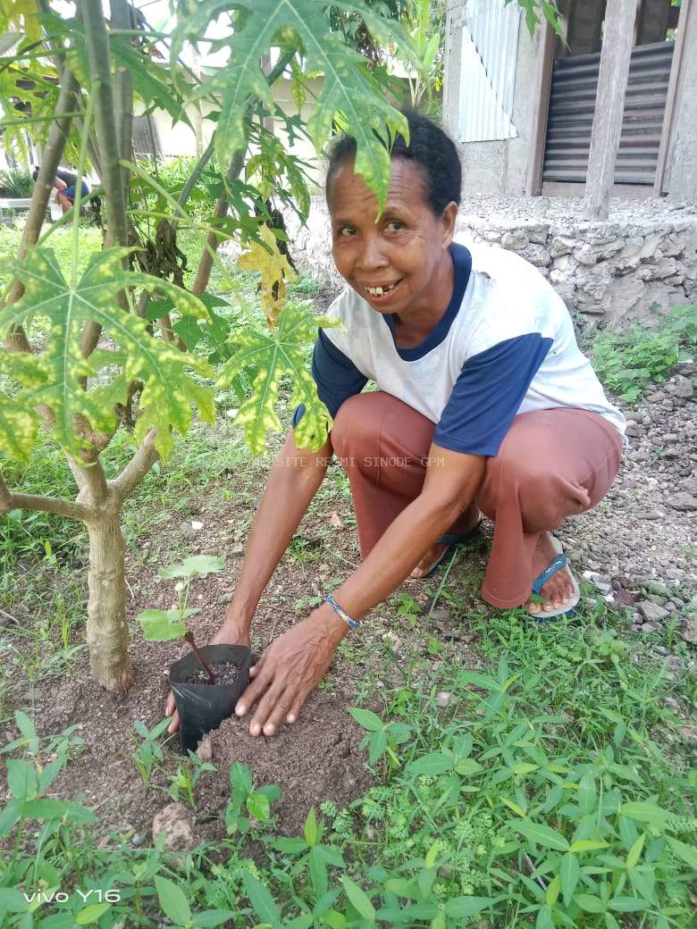 Hijaukan Lingkungan dengan Penanaman Anakan Anggur oleh Majelis Jemaat GPM Horole